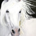 Stephen Teitler-White Horse